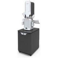 Scanning Electron Microscopy (SEM)