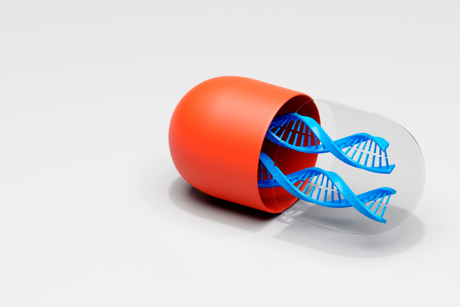 Plasmid DNA Extraction Kit for Yeast culture