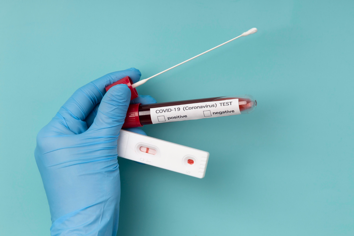 Plasmid DNA Extraction Kit for Fungal culture