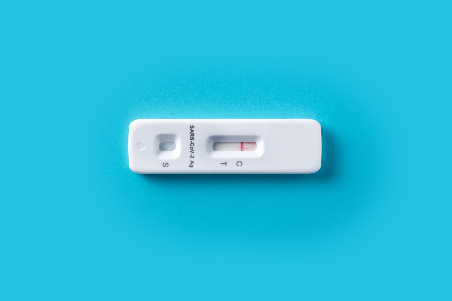 Plasmid DNA Extraction Kit for Animal tissue