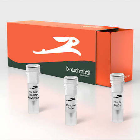 Hot Start Taq Polymerase