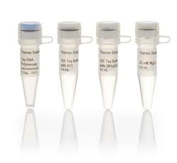 RNase H