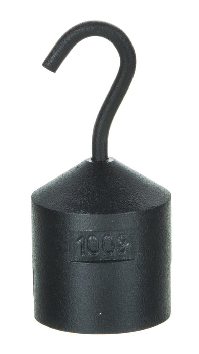 Hooked iron weight, 100G - with bottom slot - powder