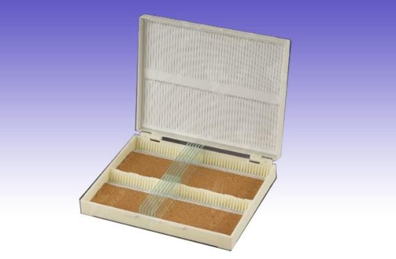 RS0168 Glass slides storage box