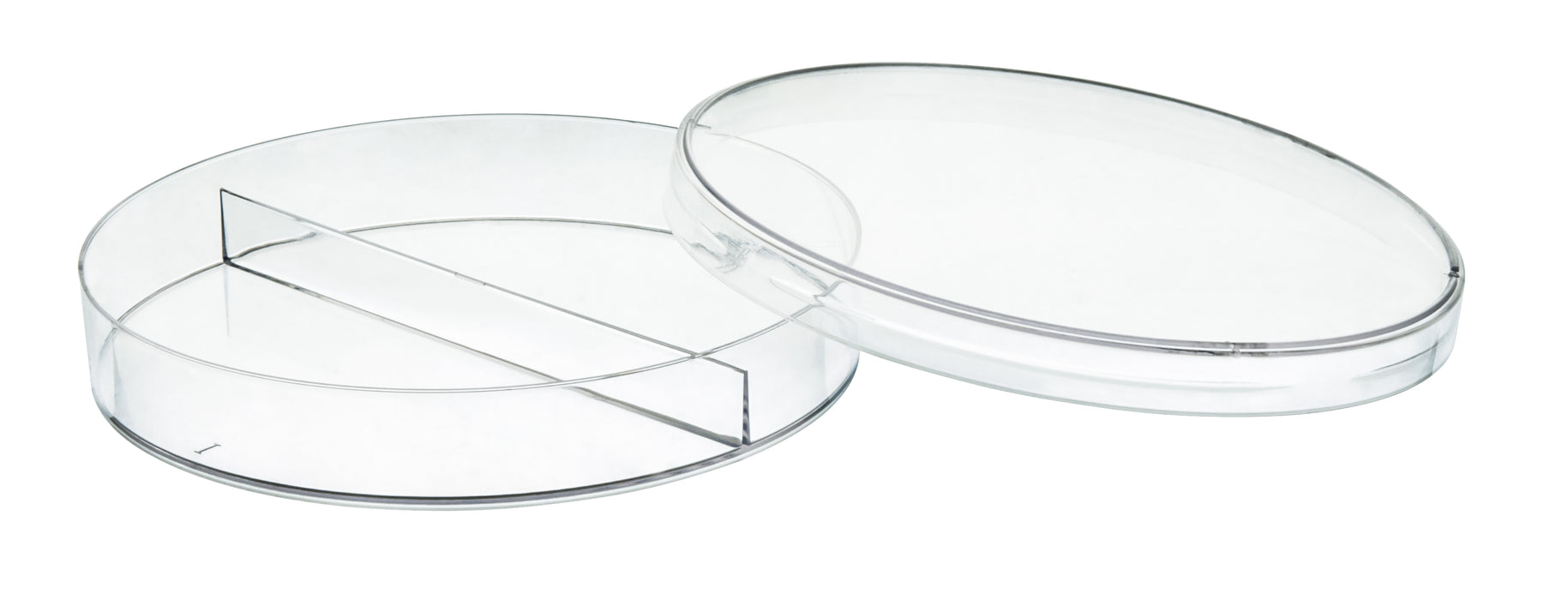 Petri dishes - compartment